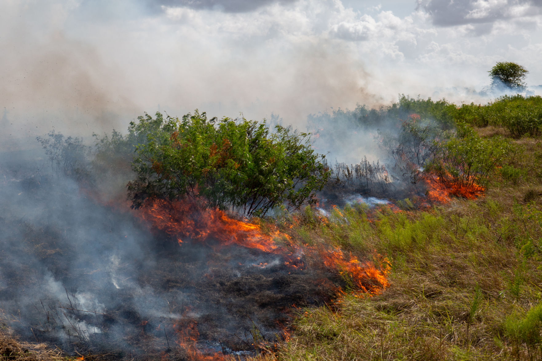 Aransas National Wildlife Refuge Prescribed Burn